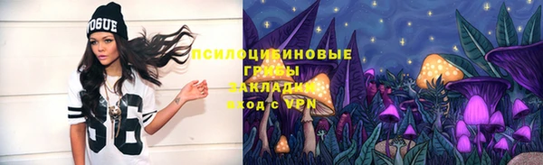 гашик Михайловск