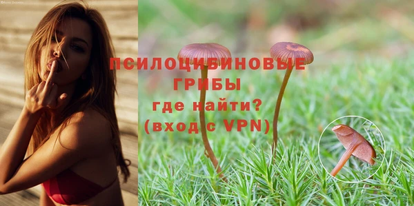не бодяженный Михайлов