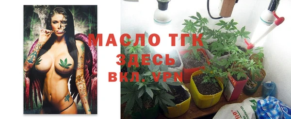 гашик Михайловск