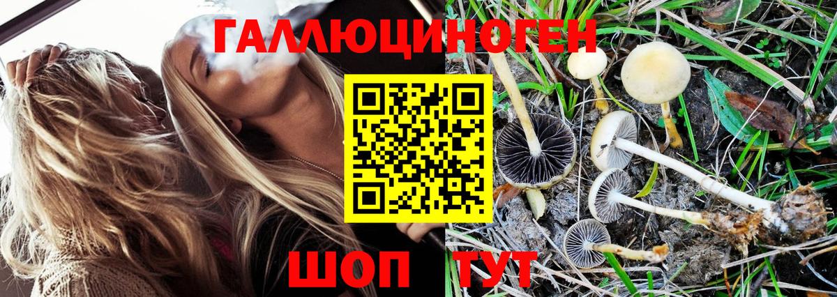 Псилоцибиновые грибы мухоморы Чайковский