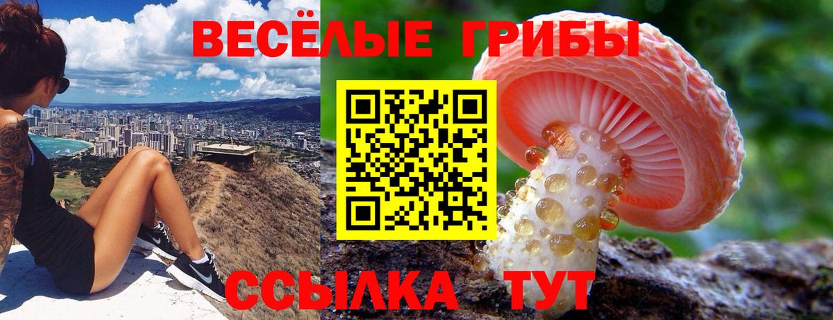 Псилоцибиновые грибы MAGIC MUSHROOMS  что такое наркотик  Чайковский 